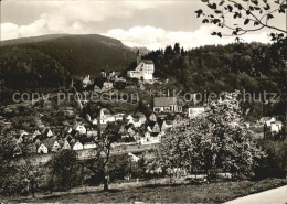 72451143 Hirschhorn Neckar Ortsansicht Mit Kirche Baumbluete Hirschhorn - Sonstige & Ohne Zuordnung