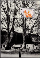 1910 - MK - Eupen-Sankt Vith #1 - 1971-1980