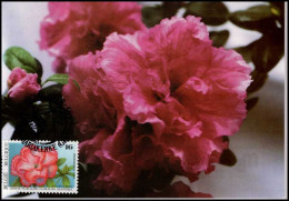 2590 - MK - Gentse Florali?n XI #1 - 1991-2000