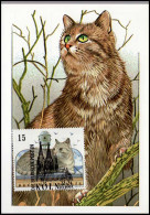 2523 - MK - Europese Kat #1 - 1991-2000