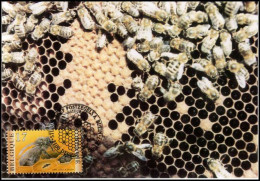 2717 - MK - Bijen - Geboorte Van Een Bij #1 - 1991-2000