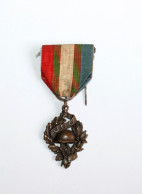 MEDAILLE INSIGNE MILITAIRE, UNC UNION NATIONALE DES COMBATTANTS GUERRE 14-18 WWI / ANTIQUE MEDAL MILITARIA   (1303.1) - Frankrijk