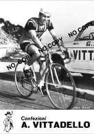 PHOTO CYCLISME REENFORCE GRAND QUALITÉ ( NO CARTE ), MARIO DI TORO TEAM VITTADELLO 1966 - Wielrennen