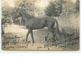 Carte-Photo - Cheval - Kaki 4 Ans Par Montjoie Et Soumise - Propriétaires MM Clavé-Bergé - Jockey Maumy - Trotteur - Reitsport