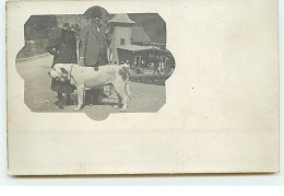 Carte-Photo - A Localiser - Couple Avec Un Gros Chien à La Montagne - Da Identificare