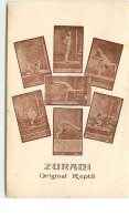 Zurani - Original Reptil - Circo