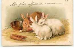 Lapins Mangeant Des Carottes - Altri & Non Classificati