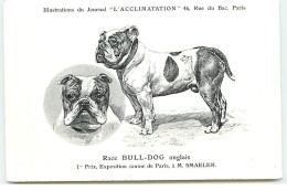 Race Bull-Dog Anglais - 1er Prix Exposition Canine De Paris  à M. Smaelen - Journal ""L'Acclimatation"" - Perros