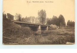 VILLEDIEU - Pont De Mehun - Autres & Non Classés