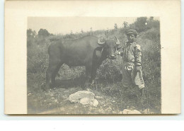 MACEDOINE - Enfant Près D'un Buffle - North Macedonia