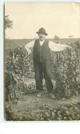 ROANNE - Carte-Photo De M E. Chardonnet Dans Ses Vignes - Marchand De Semences - 25 Rue Poisson - Roanne