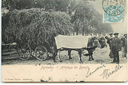 Pyrénées - Attelages De Boeufs - Autres & Non Classés