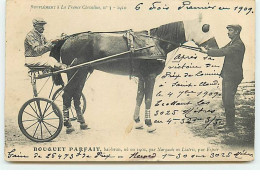 Sports - Hippisme - Supplément à La France Chevaline N°3 1910 - Bouquet Parfait, Bai-brun ... - Sulky - Hippisme