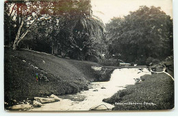 Malaisie - PENANG - Botanical Gardens - Malasia