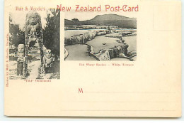 Nouvelle Zélande - Hot Water Basins - White Terrace  - Tiki Ohinemutu - Totem - Neuseeland