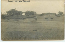 Liban - RAYAK - Village Tirboule - Dromadaires - Libanon