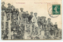 La Champagne - Travail De La Vigne - Les Vendanges - La Cueillette - Andere & Zonder Classificatie