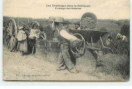 Les Vendanges Dans Le Gaillacois - Foulage Des Raisins - Gaillac