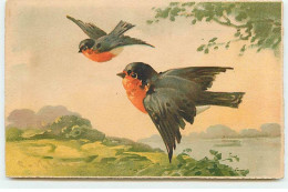 Illustrateur - C. Klein - Oiseaux - Rouges-Gorges Volant - Klein, Catharina