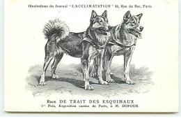 Race De Trait Des Esquimaux - 1er Prix Exposition Canine De Paris  à M. Dufour - Journal ""L'Acclimatation"" - Cani