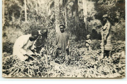 Guinée Française - RPPC - Agriculteurs Soussous - Guinea Francese