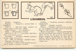 Illustrateur - Paul Coze - L'écureuil - A La Revue Française - Otros & Sin Clasificación