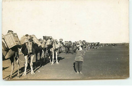 Syrie - MOUSSEIFRE - RPPC - Ravitaillement Des Troupes En Vivres Par Chameaux - 1925/26 - Syrie