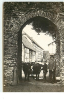 Carte Photo à Localiser - Entrée D'une Ferme - Attelage - Farms