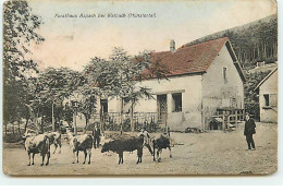 Forsthaus Aspach Bei Walbach (Münstertal) - Vaches - Andere & Zonder Classificatie