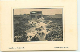 Israel - A Sluice On The Jarmuk - Israel