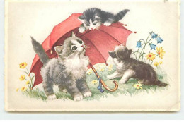 Chats Jouant Autour D'un Parapluie - Katzen