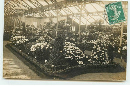 Carte Photo - PARIS - Exposition D'Horticulture 1909 - Exhibitions