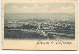 Grand-Duché De Luxembourg - Souvenir De Walferdange - Autres & Non Classés