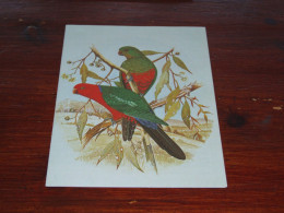 76793-          CA. 11,5 X 16 CM.  DOUBLE CARD - VOGELS / BIRDS / VÖGEL / OISEAUX / AVES - Pájaros