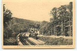 L'ETANG-LA-VILLE - Gare De Saint Nom-la-Bretèche - En Pleine Forêt - Other & Unclassified