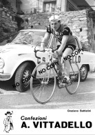 PHOTO CYCLISME REENFORCE GRAND QUALITÉ ( NO CARTE ), GRAZIANO BATTISTINI TEAM VITTADELLO 1967 - Wielrennen