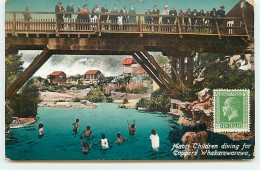 Nouvelle-Zélande - Maori Children Diving For Coppers Whakarewarewa - Neuseeland