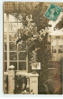 Carte Photo - PARIS - Exposition D'Horticulture 1909 - Médaille D'Or - Mostre