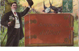 Carte à Système - Souvenir D'ALBERT - Homme Avec Des Hirondelles - Albert