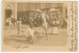 Brésil - PERNAMBUCO - RPPC - Vendedor - Sonstige