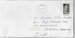 France 2024 Postal Stationery Cover Sent From Bossey To Biguaçu Brazil Stamp Sculpture P'tit Quinquin In Lille - PAP:  Varia (1995-...)