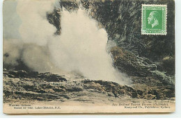 Nouvelle-Zélande - Waireki Geyser - New Zealand