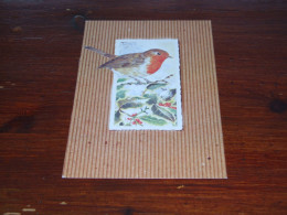 76797-          CA. 10,5 X 16 CM.  CARD - VOGELS / BIRDS / VÖGEL / OISEAUX / AVES - Birds