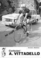 PHOTO CYCLISME REENFORCE GRAND QUALITÉ ( NO CARTE ), DOMENICO MELDOLESI TEAM VITTADELLO 1967 - Cycling