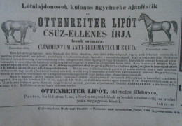 D203392 P136   Old Advertising -Leopold Ottenreiter's Remedy For Rheumatism In Horses - From A Hungarian Newspaper 1866 - Werbung