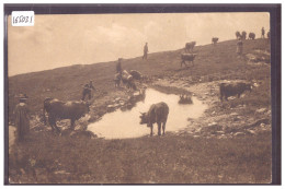 ALPE DE THYON - VACHES - TB - Otros & Sin Clasificación