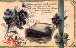 R298779 Greeting Card. Birthday Wishes. Poetry. Flowers. Landscape. Philco. No. - Monde
