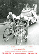 PHOTO CYCLISME REENFORCE GRAND QUALITÉ ( NO CARTE ), MERCKX - BRACKE TEAM PEUGEOT 1967 - Cyclisme