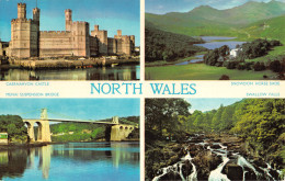R298488 North Wales. Multi View. Dennis. No. 635. Photocolour. 1981 - Monde