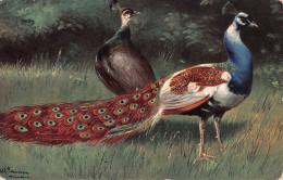 R298871 Peacocks. Ernest Nister. No. 110. E. P. Dutton - World